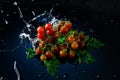 Studio shot with freeze motion of cherry tomatoes in water splash on black background Royalty Free Stock Photo