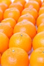 Fresh citrus tankan background