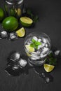 Studio shot of fresh mojito drinks with slime slices, isolated o Royalty Free Stock Photo