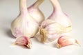 Studio shot of garlic bulbs and cloves on white background Royalty Free Stock Photo