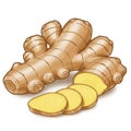 Studio Shot of Ginger Root with Sliced Pieces Isolated on White Background Royalty Free Stock Photo