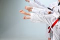 The studio shot of group of kids training karate martial arts Royalty Free Stock Photo