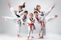 The studio shot of group of kids training karate martial arts Royalty Free Stock Photo