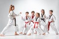 The studio shot of group of kids training karate martial arts Royalty Free Stock Photo