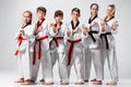 The studio shot of group of kids training karate martial arts Royalty Free Stock Photo