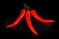 Studio shot of group of red chili peppers on black Royalty Free Stock Photo