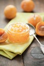 Studio shot of homemade small yellow plum mellow mirabelle jam in a glass jar and in a bowl