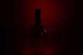 Studio shot of isolated dark black blurred red wine bottle silhouette focus on bottle neck Royalty Free Stock Photo