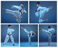 The studio shot of kids training karate martial arts Royalty Free Stock Photo