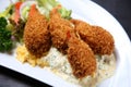 Studio shot of lobster croquette with vegetables Royalty Free Stock Photo