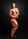 Studio shot of male bodybuilder posing, flexing and showing bice Royalty Free Stock Photo