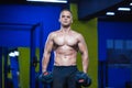 Studio shot of a male model holding dumbbells in both hands in the gym. Shirtless muscular man working out. Health and Royalty Free Stock Photo