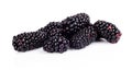 Studio shot of many fresh blackberries isolated white