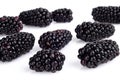 Studio shot of many fresh blackberries isolated white Royalty Free Stock Photo