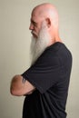 Profile view of mature bald man with long gray beard Royalty Free Stock Photo