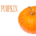 Studio shot of a nice ornamental pumpkin Royalty Free Stock Photo