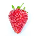 Studio shot one strawberry isolated on white background with copy space Royalty Free Stock Photo