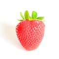 Studio shot one whole organic strawberry isolated on white Royalty Free Stock Photo