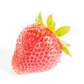 Studio shot one whole organic strawberry isolated on white Royalty Free Stock Photo