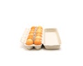 Studio shot open carton box of dozen pasture raised eggs isolate