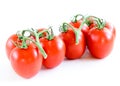 Studio shot organic a cluster of vine ripened Roma tomatoes isolated on white background Royalty Free Stock Photo