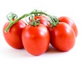 Studio shot organic five on vine ripened Roma tomatoes isolated on white background Royalty Free Stock Photo