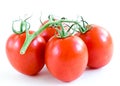 Studio shot organic four on vine ripened Roma tomatoes isolated on white background Royalty Free Stock Photo