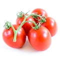 Studio shot organic four on vine ripened Roma tomatoes isolated on white background Royalty Free Stock Photo