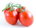 Studio shot organic four on vine ripened Roma tomatoes isolated on white background Royalty Free Stock Photo