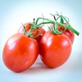 Studio shot organic four on vine ripened Roma tomatoes isolated on white background Royalty Free Stock Photo