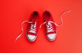 A studio shot of pair of canvas shoes on red background. Flat lay. Royalty Free Stock Photo