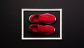 A studio shot of pair of running shoes on black background. Flat lay.