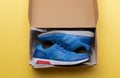 A studio shot of pair of running shoes in paper box. Flat lay.