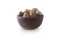 Studio shot of pecans on white background. Pecans in nutshell on wooden bowl isolated on white. Pecans with copy space for text. Royalty Free Stock Photo