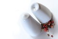 Studio shot of pepper and salt pot Royalty Free Stock Photo