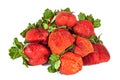 Studio Shot of Pile of Eight Fresh Organic Red Strawberries