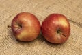 Studio shot and ready to eat red apples on background Royalty Free Stock Photo