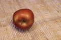 Studio shot and ready to eat red apples on background Royalty Free Stock Photo