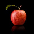 Studio shot of red apple with leaf Royalty Free Stock Photo