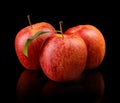 Studio shot of red apples with leaf Royalty Free Stock Photo