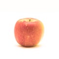 Studio shot single raw Fuji apple isolated on white