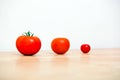 Studio Shot of three cherry tomatoes in a row Royalty Free Stock Photo