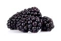 Studio shot of three fresh blackberries isolated white Royalty Free Stock Photo