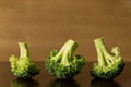 Studio shot of three pieces of broccoli in a row