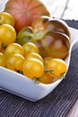 Studio shot of tomatos in dish Royalty Free Stock Photo