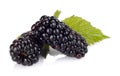 Studio shot of two fresh blackberries with leaves isolated white Royalty Free Stock Photo