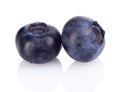 Studio shot of two fresh blueberries isolated white Royalty Free Stock Photo