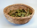 Studio shot of a used traditional straw basket with dry bay leaves Royalty Free Stock Photo