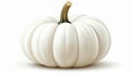 Studio Shot of White Pumpkin with Textured Stem Against White Background Royalty Free Stock Photo