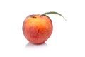 Studio shot of whole fresh peach isolated on a white background Royalty Free Stock Photo